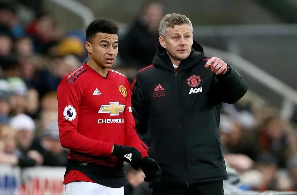 中国游泳队 中国游泳队